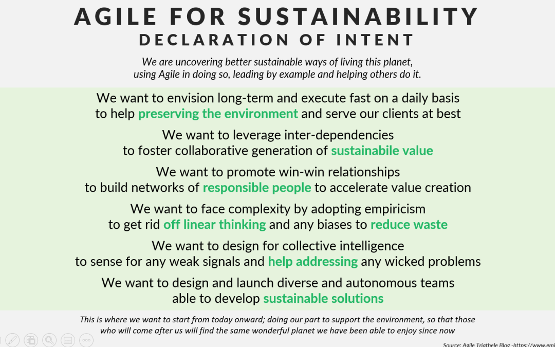 Agile for Sustainability – Declaration of Intent
